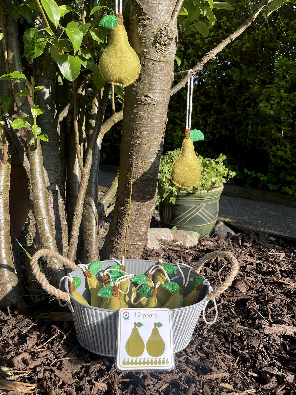 A collection of twelve hand sewn felt counting pears in a metal pot with rope handles under a pear tree ready to hang and count.