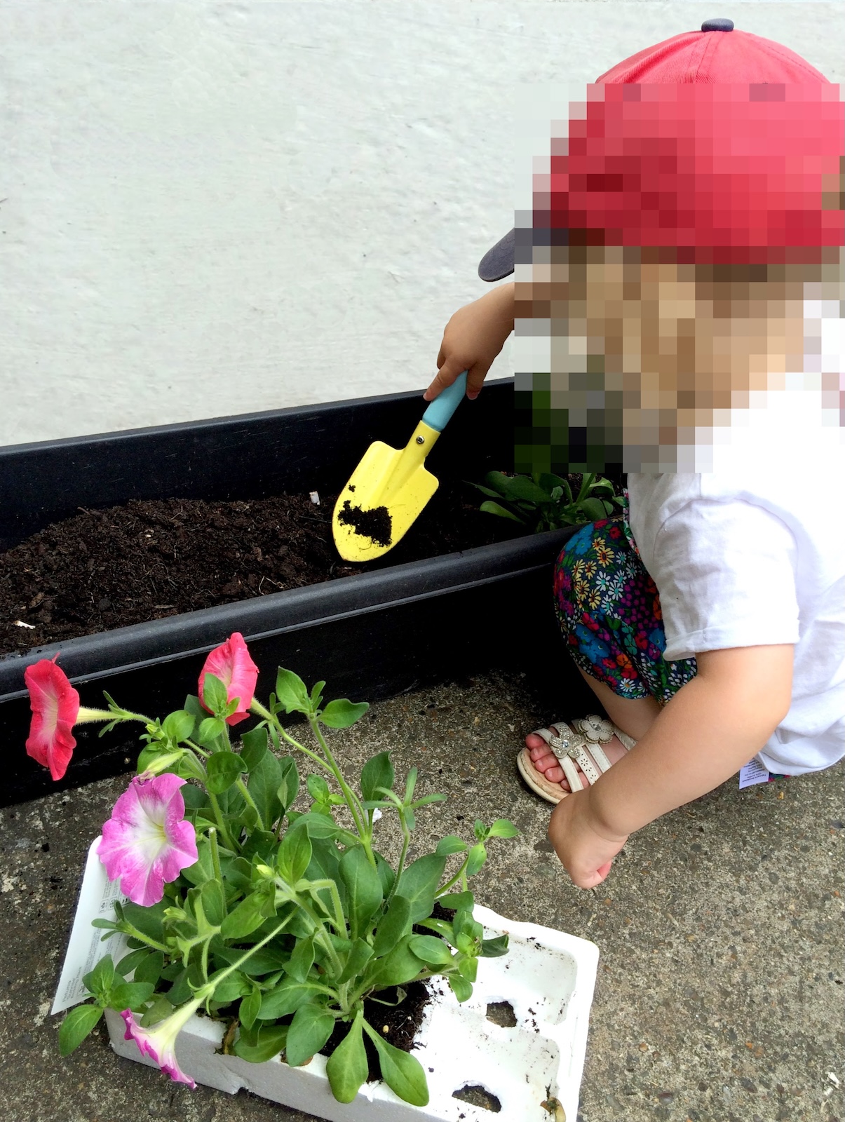 A young child in a red cap crouching down to scoop soil in a long black planter box with a yellow trowel next to pink flowers.